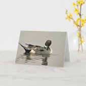 オナガガモのアヒル カード (黄色い花)