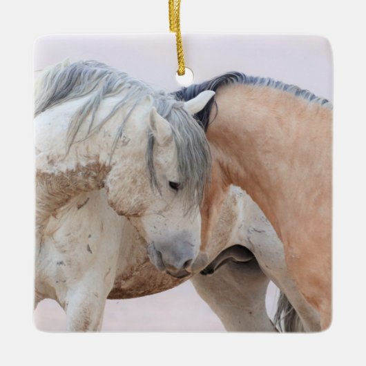 オナキーワイルドウマズガラスオーナメント セラミックオーナメント (正面)