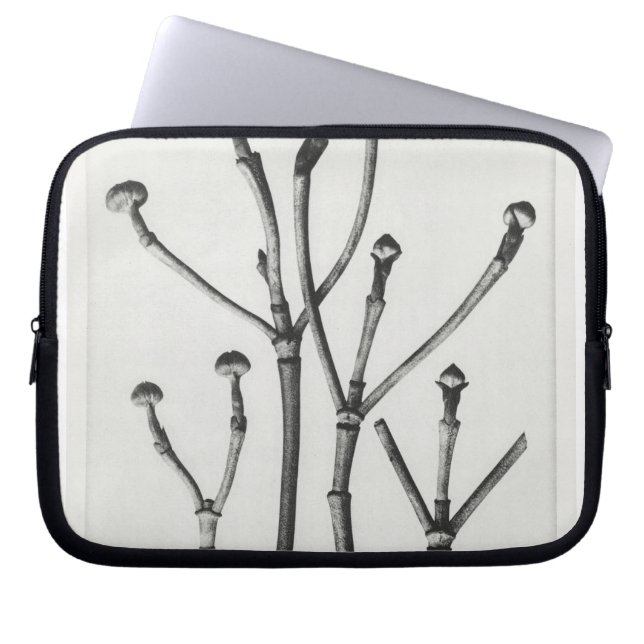 オナトゥレボタニカルプリント ラップトップスリーブ (正面)