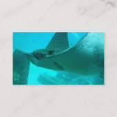 オニイトマキエイの名刺 名刺 (裏面)