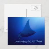 オニイトマキエイの郵便はがき ポストカード (正面/裏面)