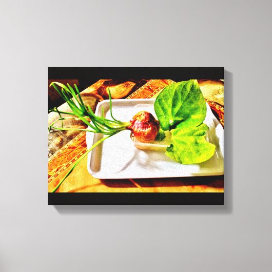 オニオンアート キャンバスプリント (正面)