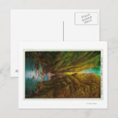 オニオンタ渓谷（Oneonta Gorge） - コロンビア川渓谷 ポストカード (正面/裏面)