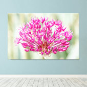 オニオンフラワー キャンバスプリント (インサイチュ (ウッドフロア))