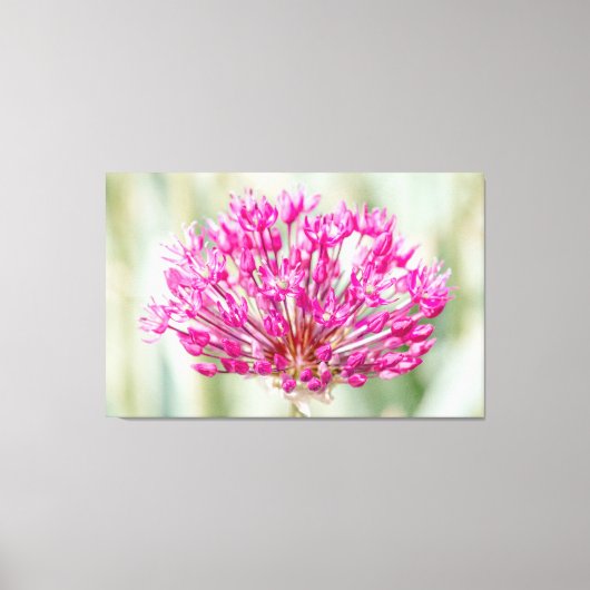 オニオンフラワー キャンバスプリント (正面)