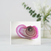 オニオンレイヤー ポストカード (スタンド正面)