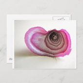 オニオンレイヤー ポストカード (正面/裏面)