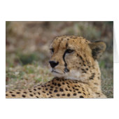 オニキスの裂孔 (正面横)