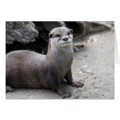 オニキス (正面横)