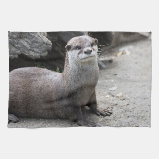 オニキス キッチンタオル (横)