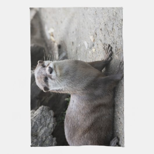 オニキス キッチンタオル (縦)