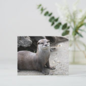 オニキス ポストカード (スタンド正面)