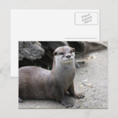 オニキス ポストカード (正面/裏面)