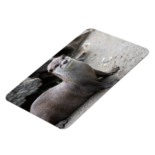 オニキス マグネット (左側)