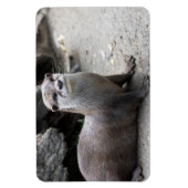 オニキス マグネット (縦)