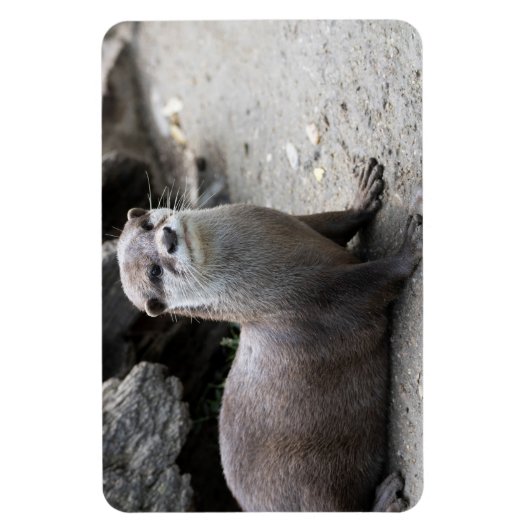 オニキス マグネット (縦)