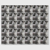 オニキス ラッピングペーパー (フラット)