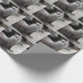 オニキス ラッピングペーパー (角)