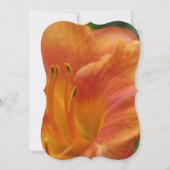 オニユリのウェディングシャワー 招待状 (裏面)