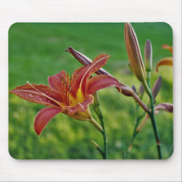 オニユリ マウスパッド