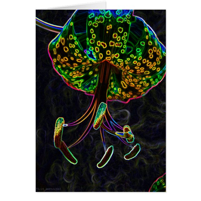 オニユリPhotoshop (正面)