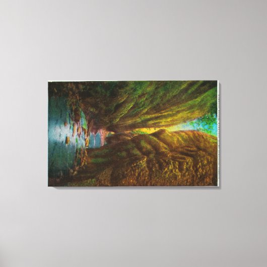 オネオンタゴルジインコロンビアリバーゲージ キャンバスプリント (正面)