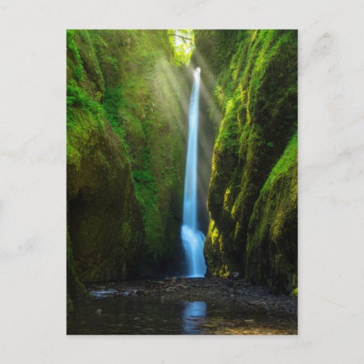 オネオンタ秋 ポストカード (正面)