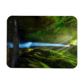 オネオンタ秋 マグネット (横)