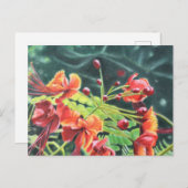 オハイアリイ ポストカード (正面/裏面)