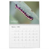 オハイオのオハイオアウトドア毛虫を探索する カレンダー (2月 2026)