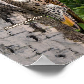 オハイオの裏庭の鳥 ポスター (角)