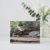 オハイオの風景 ポストカード (スタンド正面)