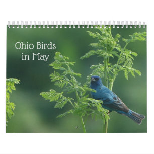 オハイオの鳥5月 カレンダー
