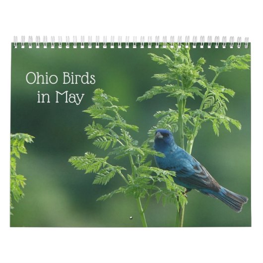 オハイオの鳥5月 カレンダー (カバー)