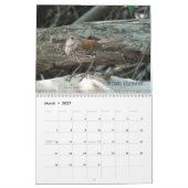 オハイオの鳥5月 カレンダー (3月 2027)