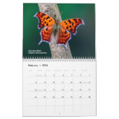 オハイオアウトドアの蝶カレンダーを探索 カレンダー (2月 2026)