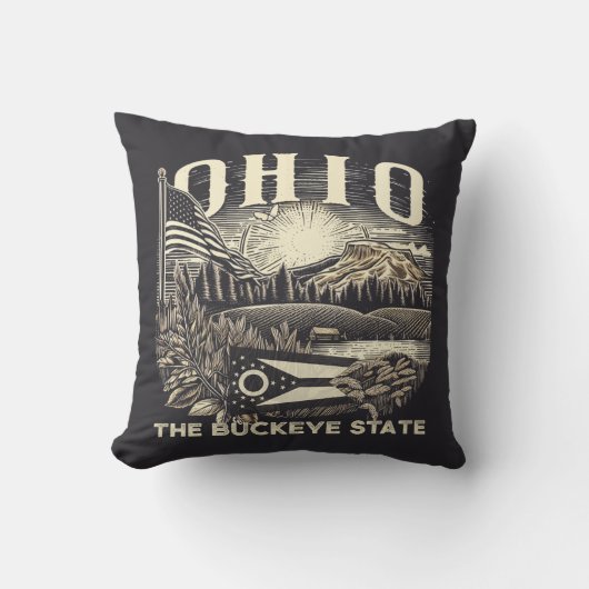 オハイオザバッキー州 クッション (正面)