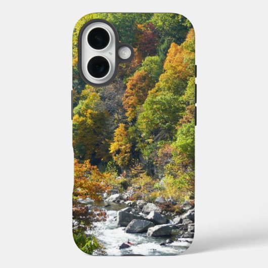 オハイオパイル州立公園の紅葉 Case-Mate iPhoneケース (裏面)