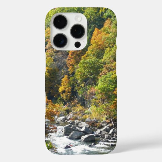 オハイオパイル州立公園の紅葉 Case-Mate iPhoneケース (裏面)