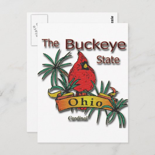 オハイオビスケエ（鳥）ショウジョウコウカンチョウ ポストカード (正面/裏面)