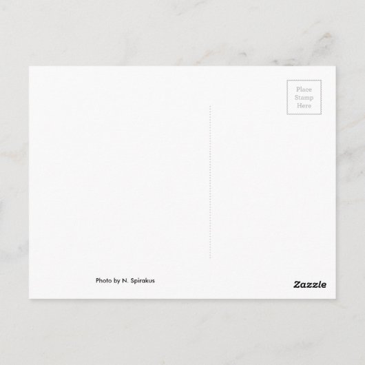 オハイオレイクサンセットポストカード ポストカード (裏面)