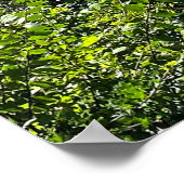 オハイオ川 ポスター (角)