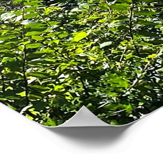 オハイオ川 ポスター (角)