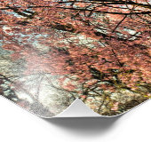 オハイオ州のさくらんぼの木の枝枯れ開花 フォトプリント            (角)