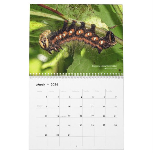 オハイオ州のアウトドア野生生物カレンダーを探索 カレンダー (3月 2026)