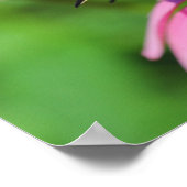 オハイオ州のアゲハチョウで黒い蝶 ポスター (角)