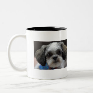 オハイオ州のシーズー(犬) TZUそれはコーヒー時間です ツートーンマグカップ