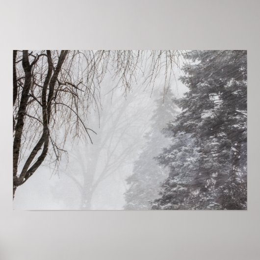 オハイオ州の冬嵐。 ポスター (正面)