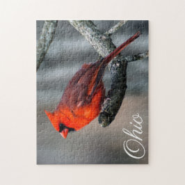 オハイオ州の基本的なパズル ジグソーパズル