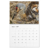 オハイオ州の壁掛けカレンダーの鳥 カレンダー (3月 2027)